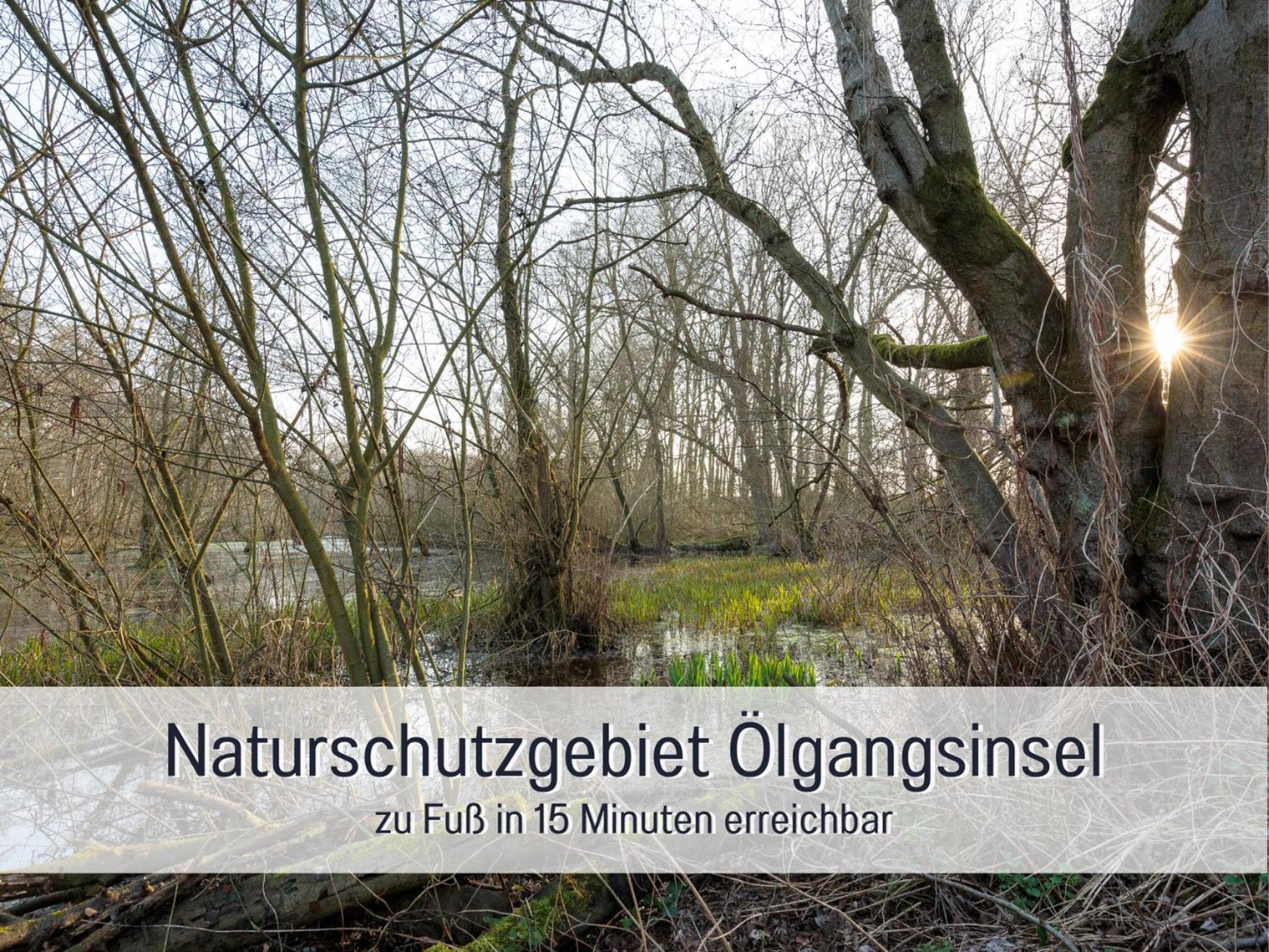 Apartment Penthouse Wolke7 Mit Rheinblick Neuss-duesseldorf Neuss