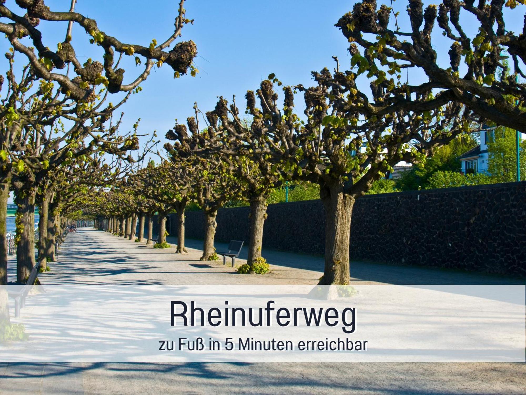 Apartment Penthouse Wolke7 Mit Rheinblick Neuss-duesseldorf Neuss
